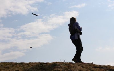 Balade à Roulettes n°23 Les jardins des thermes à Cambo-les-Bains