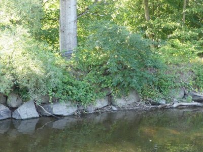 Rando n°17 - Boucle du Haut-du-Bois