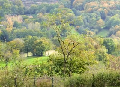 Visite commentée de Rieupeyroux