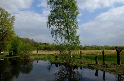 Les Alentours de Samara