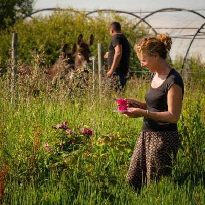 Le Champ des comestibles