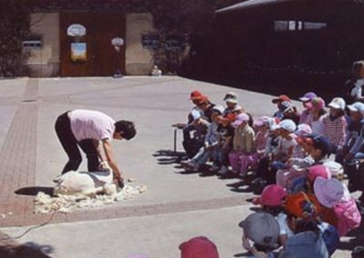 Découverte de la ferme à Guébling