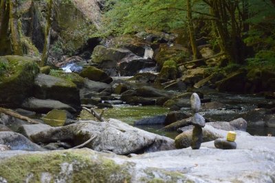 Pêcher dans les eaux vives de la Dronne - Sentier le Saut du Chalard