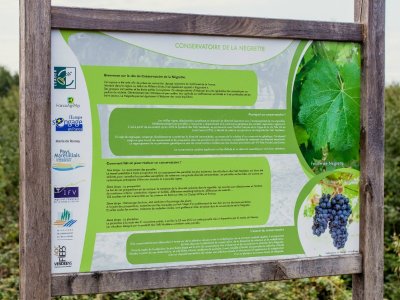 Centre équestre le Haras du Plessis