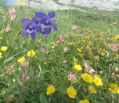 N°55 Col de la Cuarde