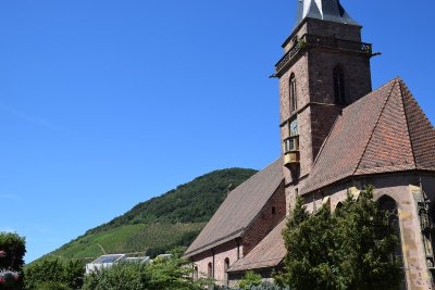 Le vignoble de Vieux-Thann
