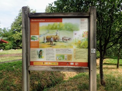 L'arboretum de la Bodenmatten