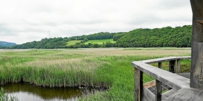 Marais de Rosconnec
