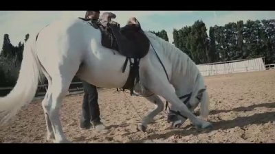 Les Ecuries du Petit Claux