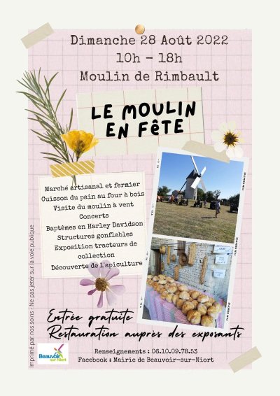 Ombres et lumières en forêt de Chizé - Station de Trail