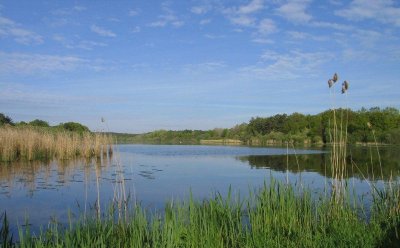 Espace naturel sensible l'étang du Gué des Cens