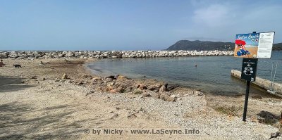 Plage pour chien - Toutou beach