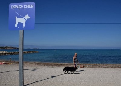Plage pour chiens - Doggy Beach