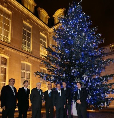 Association française du sapin de Noël naturel
