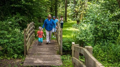 Marais de Reilly-Boubiers