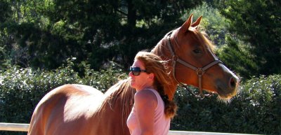 Les Ecuries de Maillane