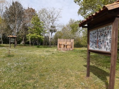 Arboretum de Saint Maurice la Clouère