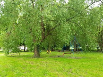 Arboretum de la Bussière