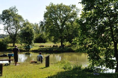 Etangs de Saint-Martin