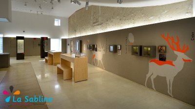 Musée de Préhistoire