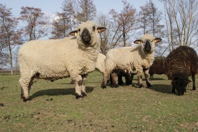 Ferme pédagogique de Craintilleux