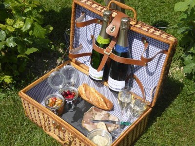 Balades en voiturette électrique – Champagne Bonnevie-Bocart