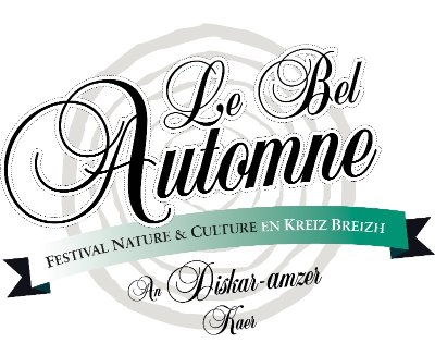 Le marais de Magoar-Penvern