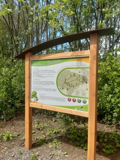 Arboretum du Gloeckelsberg