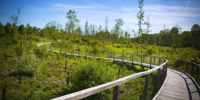 Zone humide des Pâtures