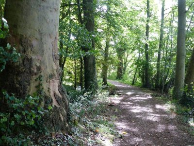 Parcours de découverte "Avre de Nature"