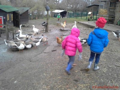 Ferme pédagogique du Bel Air