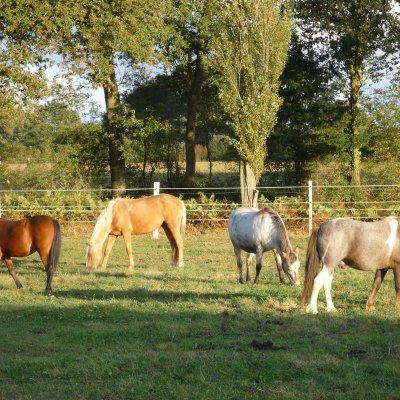 CENTRE ÉQUESTRE DES DEUX SOURCES
