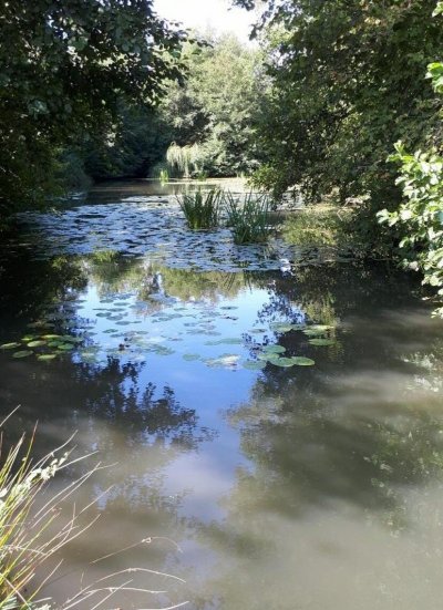 Étang de la gargouillotte