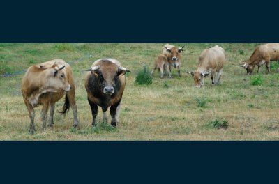 La ferme des Bourettes