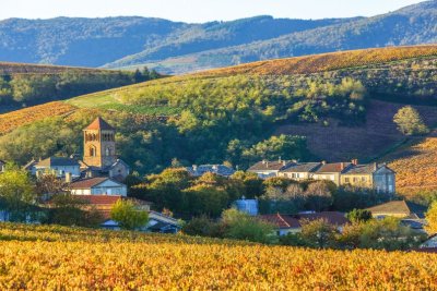 Circuit Randoland® Salles-Arbuissonnas