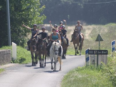 BALADE EQUESTRE EN FAMILLE OU ENTRE AMIS (les Louveaux)