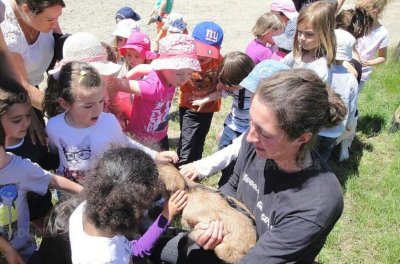 Ferme pédagogique et découverte de Monnichard