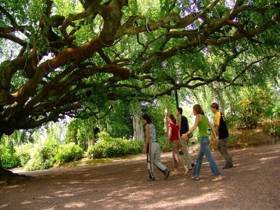 Jardin botanique de Bayeux
