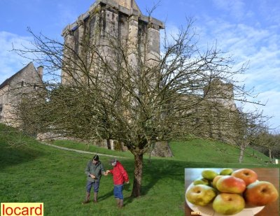 Le Verger conservatoire