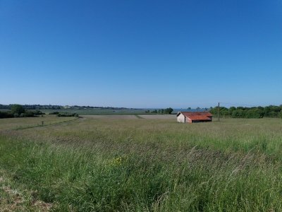 Les marais d'Heugueville-sur-Sienne