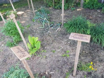 Le jardin insolite de Papy Paulo