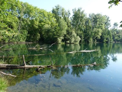 Réserve naturelle de Forêt de la Robertsau et de La Wantzenau