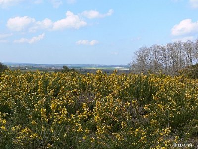 Le Vaudobin et les gorges du Meillon - Point 1 Vous surplombez ici la Vallée du Meillon