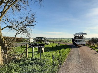 Belvédère du sentier des Marais de l'Aure