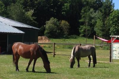 École d'Équitation la Championnerie
