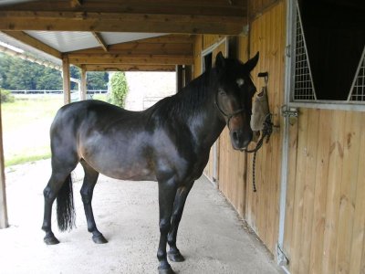 Ecuries Les Essartis