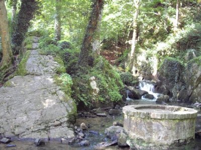 Plateau du Mont-Joly