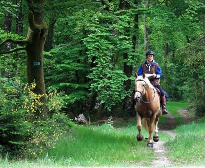 Les Écuries d'Opale