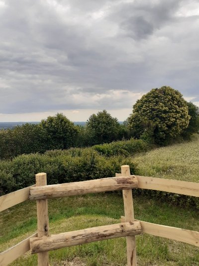 Terrier du Fouilloux