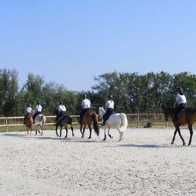 Centre équestre Byclas